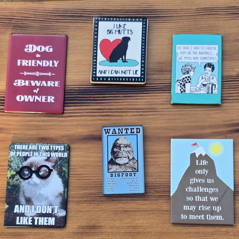 Set of 6 Humorous Fridge Magnets